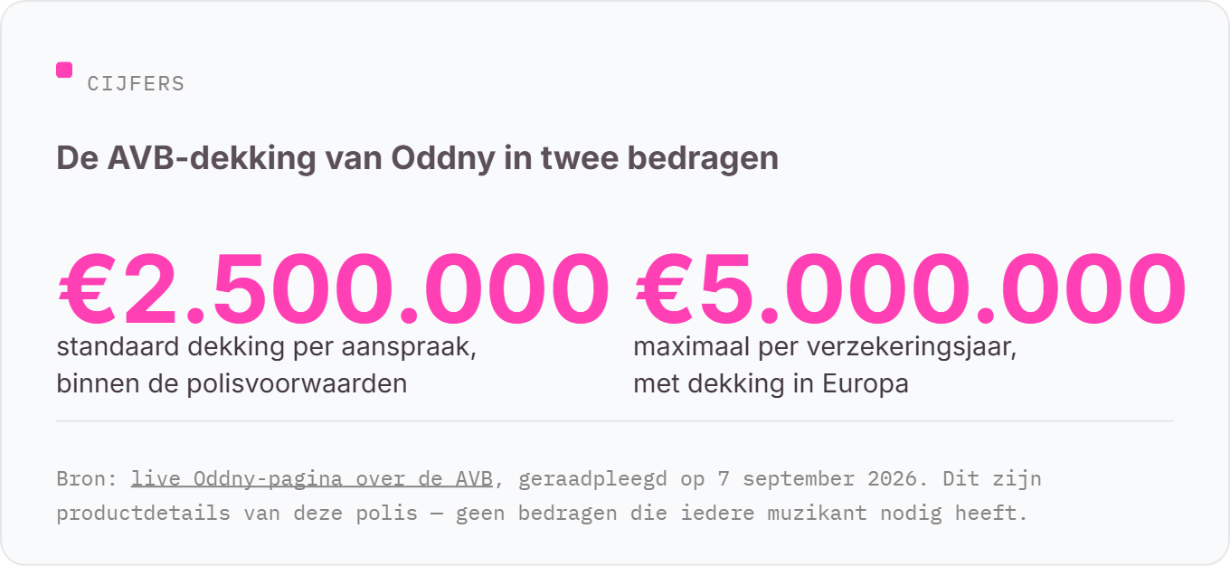 AVB-dekking van Oddny: &euro;2.500.000 standaard per aanspraak, maximaal &euro;5.000.000 per verzekeringsjaar, met dekking in Europa.