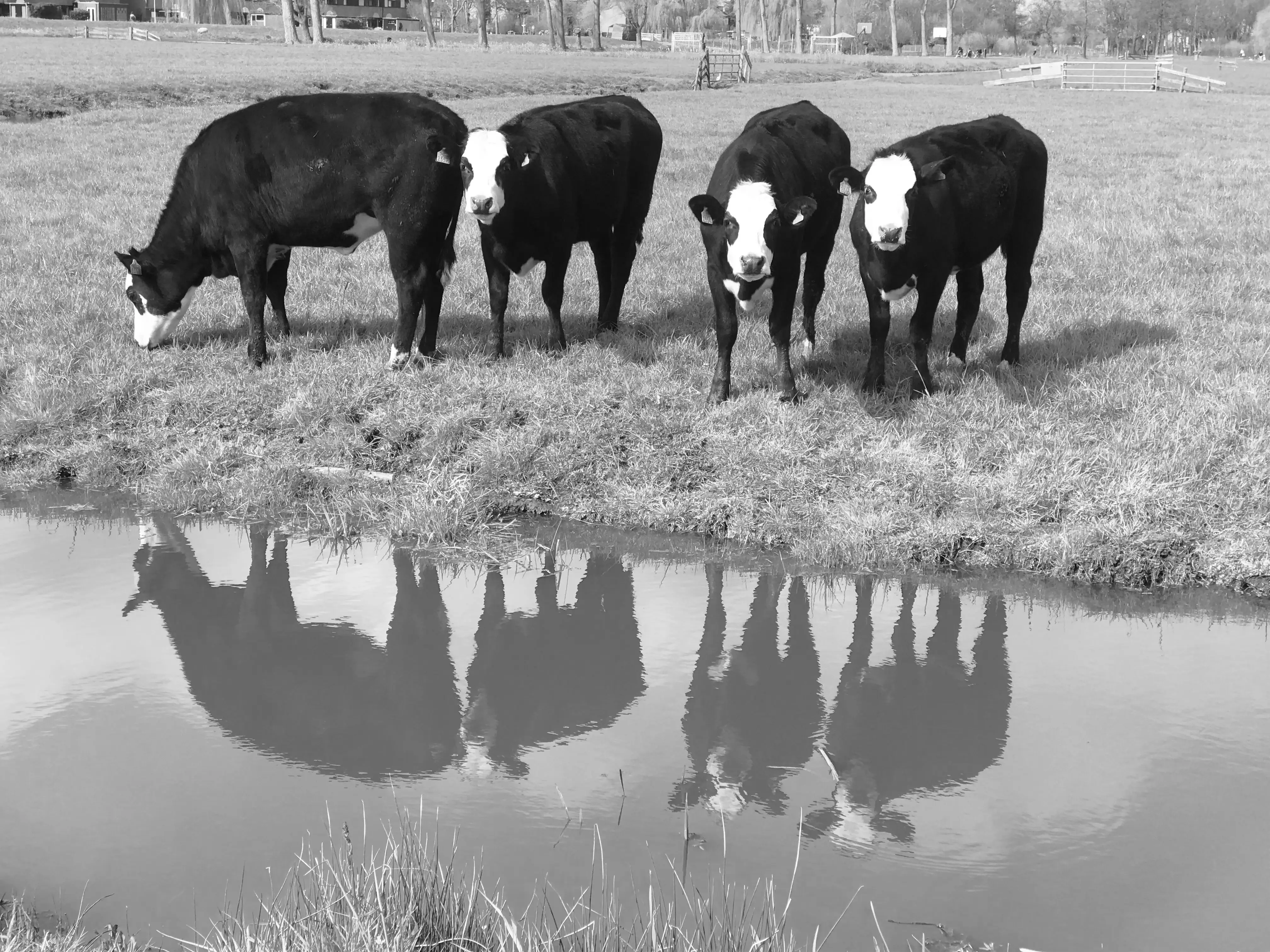 Zakelijk sparen als ZZP'er: een buffer voor de stille maanden | Oddny