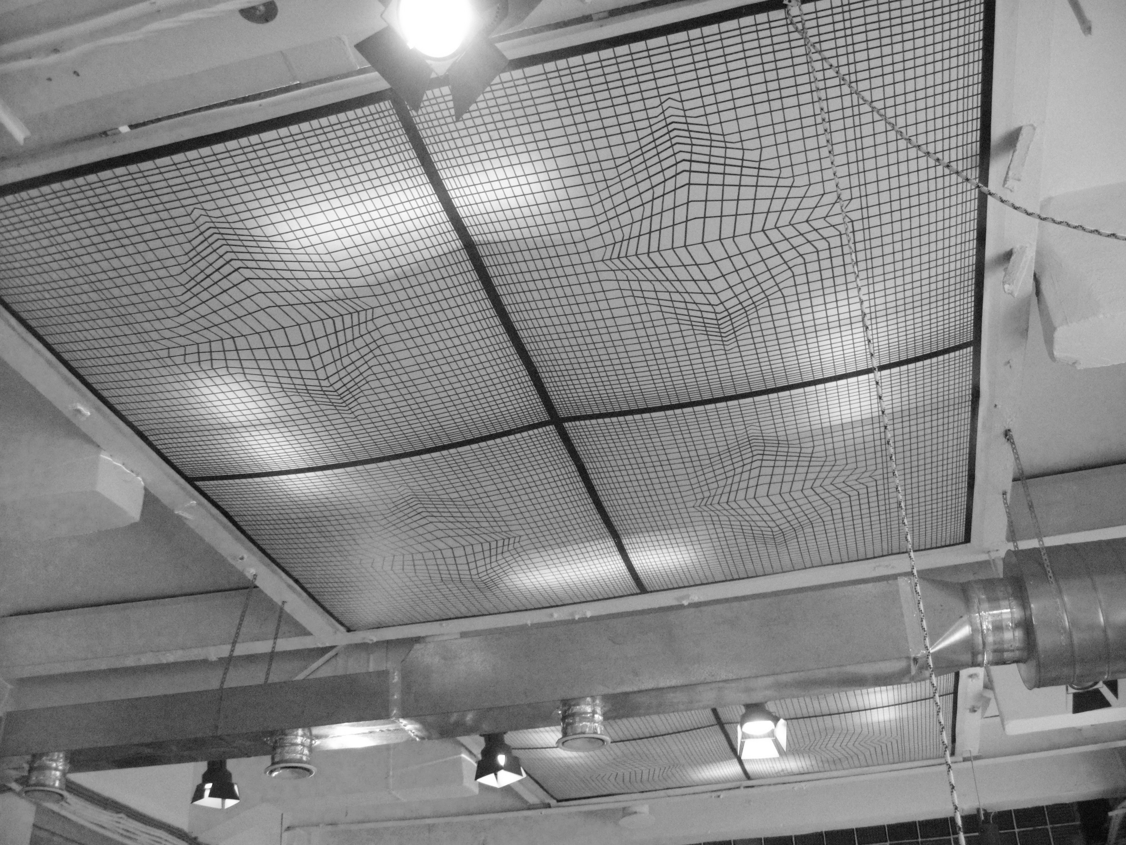 The 7 types of creatives who will thrive in the Netherlands<br>And why they are the ones who understand the new reality